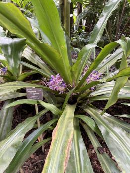 Botanische Gärten Universität Bonn